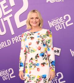 Amy Poehler Calls Her Return as Joy in 'Inside Out 2' a 'Dream Come True'