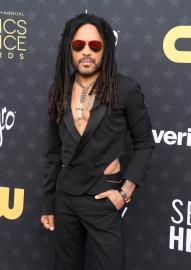 Lenny Kravitz Is Ready to 'Meet the Right Person' and Get Married