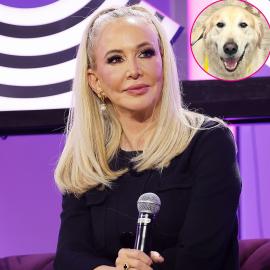 RHOC's Shannon Beador Says Dog Archie Was Attacked by Another Dog