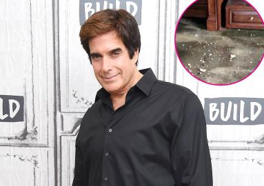 David Copperfield Sued for $2.5 Million After Allegedly Trashing Penthouse