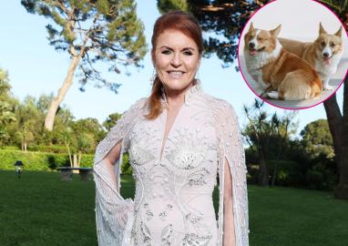 Sarah Ferguson Celebrates Queen Elizabeth's Corgis on International Dog Day