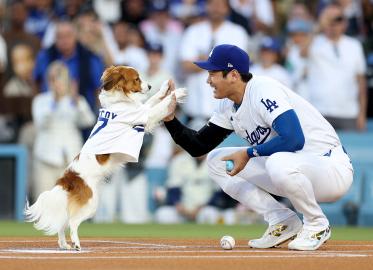 Shohei Ohtani’s Dog Threw Out the 1st Pitch at Dodgers' Bobblehead Night