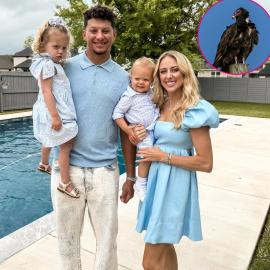 ‘Disgusting’ Birds Have Invaded Brittany and Patrick Mahomes’ Property