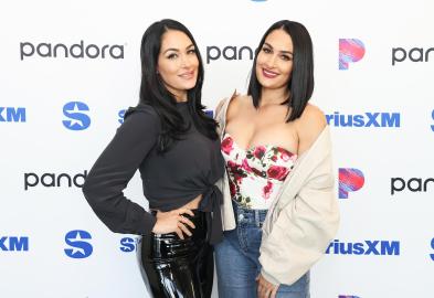 Nikki Garcia's Sister Brie Shades Artem Chigvintsev in Instagram Post