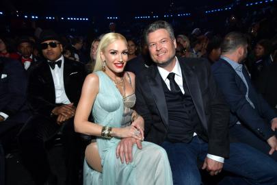 Gwen Stefani and Blake Shelton Adopt Baby Kitten They Nursed Back to Health