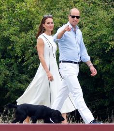 Prince William, Kate Middleton Let Dog Sleep in the Bed 