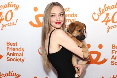 Amanda Seyfried Always Takes In Injured Animals on Her Farm