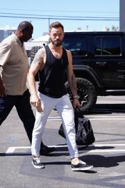 Artem Chigvintsev’s Domestic Violence Arrest: Updates on Case, More