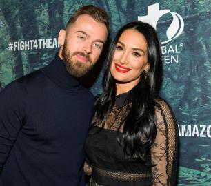 Artem Chigvintsev Wants to Reconcile With Nikki Garcia: Source