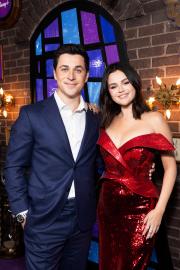 David Henrie Reflects on His and Selena Gomez's 'Meaningful' TV Reunion