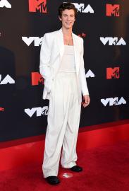Shawn Mendes Admits He Used to Look for Celebrity Comments on His Instagram