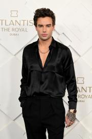Liam Payne Dead at Age 31: Paris Hilton and More Celebs React