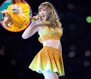 Taylor Swift Returns to 'The Office' With Her Cat for Final 'Eras' Leg