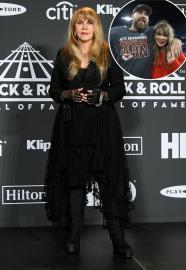 Stevie Nicks Wants Taylor and Travis to 'Get Married and Have Babies'
