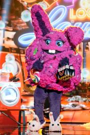 ‘Masked Singer’ Season 12 Clues: Who Is Dust Bunny? What We Know So Far