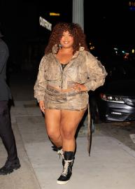 Is Lizzo Vegan? Inside Decision to Reintroduce Animal Proteins in Diet