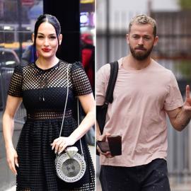Nikki Bella and Artem Chigvintsev 'Butted Heads,' Were 'Verbally Abusive'