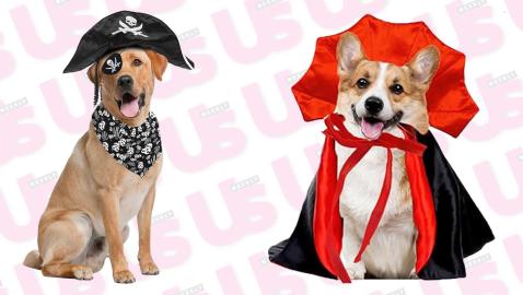 8 Last-Minute Pet Costumes That Will Arrive Before Halloween