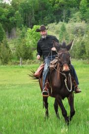 Comedian Tom Green Details His Canadian Farm Life With Mule Fanny