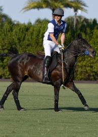 Prince Harry’s ‘Polo’ Docuseries Gets Release Date and Dramatic Trailer