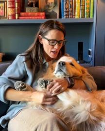 Jennifer Garner’s Dog Birdie Dies: 'Held on' Until Violet Came Home