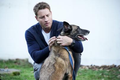 Justin Hartley's Newest 'Tracker' Case Has Colter Shaw Rescuing a Stolen Dog