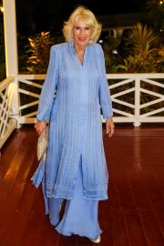 Queen Camilla Cancels Public Appearances as She Battles Chest Infection