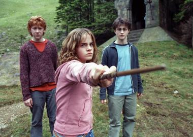 'Harry Potter' Prop Sold for Nearly $300K to Benefit Injured Stunt Double