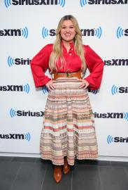 Since ~She's~ Been Gone! Why Did Kelly Clarkson Leave 'The Voice'?