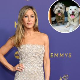 'Charitable' Jennifer Aniston Working to Help Pets Amid Wildfires