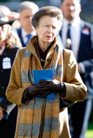 Princess Anne Says She Has No Memory of Accident Before Hospitalization