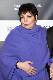 Liza Minnelli’s Friend Says Her Life's 'Disappointment' Is Not Having Kids