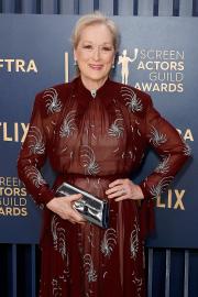 Meryl Streep Had to Cut a 'Car-Size' Hole in Fence to Flee L.A. Wildfires