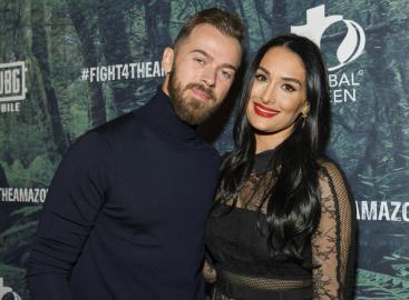 Nikki Bella Reveals How She Explained Artem Chigvintsev Divorce to Son