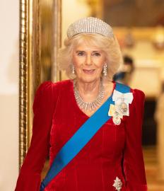 Camilla Didn’t Want To Be Queen, Hated Protocol, New Book Claims