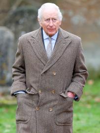 King Charles Reacts to D.C. Plane Crash: 'Profoundly Shocked and Saddened'