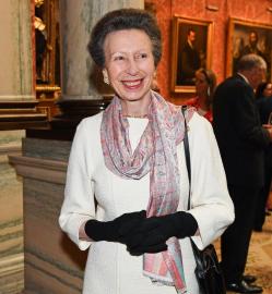 Princess Anne Family Guide: Meet Her 2 Kids and 5 Grandchildren