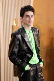 Timothee Chalamet Flies Solo at SAG Awards, Doesn't Bring GF Kylie Jenner