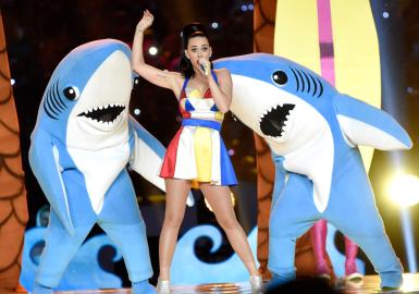 Katy Perry Shares Nostalgic 2015 Super Bowl Performance Photos