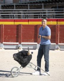 The Bachelor Season 29 Week 4 Recap: Grant and the Ladies Travel to Madrid