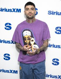 Zayn Malik Cancels Mexico City Show After Getting ‘Severe Food Poisoning'