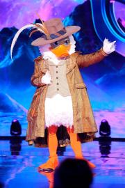 ‘The Masked Singer’ Shocks Fans With Reveal of Season 13's Lucky Duck