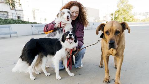 Amazon Pet Day Is Here: Spoil Your Fur Baby And Save While Doing It