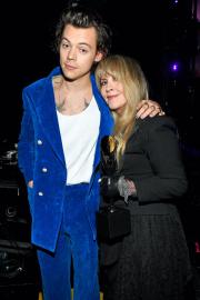 Harry Styles Would ‘Love’ to Feature on Stevie Nicks’ New Album