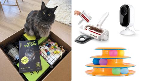 Cat Owner-Approved: 11 Amazon Pet Day Deals I Swear By