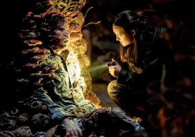 'The Last of Us' Season 2, Episode 5 — Release Time, Date, Plot, How to Watch