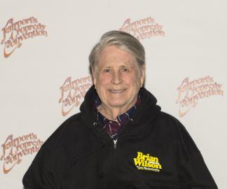 Stars React to Brian Wilson's Death: Ronnie Wood, Mark McGrath and More