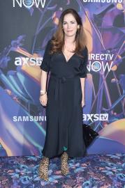 NYPD Blue's Kim Delaney Headed to Trial Over Alleged Hit-And-Run Arrest