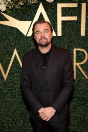 Leonardo DiCaprio and Vittoria Ceretti Romance: Top Moments