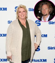 Sister Wives' Janelle Claims Kody Used a ‘Cycle of Love Bombing’ in Marriage